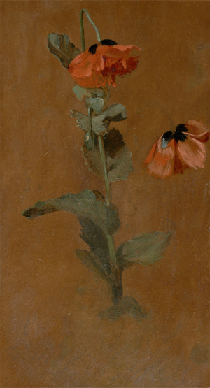 Study of Poppies, 1832 (oil and pencil on board) (post conservation)