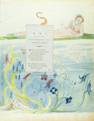 Design 9 for 'Ode on the Death of a Favourite Cat' from 'The Poems of Thomas Gray', published 1797-98 (w/c with pen & ink on paper)