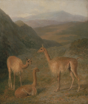 Vicunas, 1831 (oil on canvas)