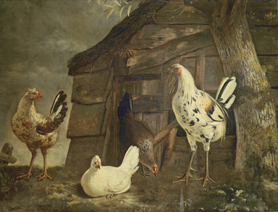 Poultry (oil on canvas)