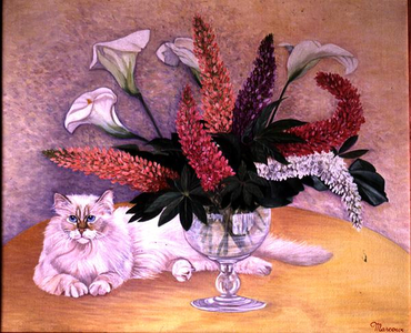 Persian Cat with Lupins (oil on canvas)