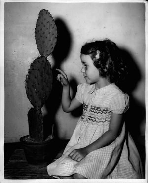 Aug. 08, 1953 - CACTI ON SHOW AT ROYAL HORTICULTURAL HALL. A Cactus and Succulent Competition for Amateurs - Fortnightly Show for the Sherman Hoyt Trophy - opened today at the Royal Horticultural Hall. KEYSTONE PHOTO SHOWS: 6-years old ANNAH GILBERT of Romford, Essex - seen with a giant cactus one of the exhibits, today.