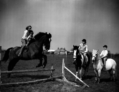 May 05, 1954 - Teaching Him Young: Little Phillip Payne thoroughly enjoys himself when his mother, Mrs. Lorna Payne, who was one of the famous” Seven Sisters” riding school - takes him over a jump with her. Keenly watching young Phillip's reactions, are his brother Barry, aged 9 - on his 9-year old pony” High Jinks”, winner of over 150 prizes in Show Jumping, and his sister, Wendy, 16, herself an accomplished show jumper, riding her piebald jumper” Barbary '