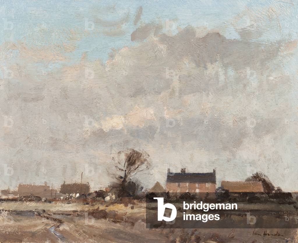 Winter afternoon, Walcott (oil on board)