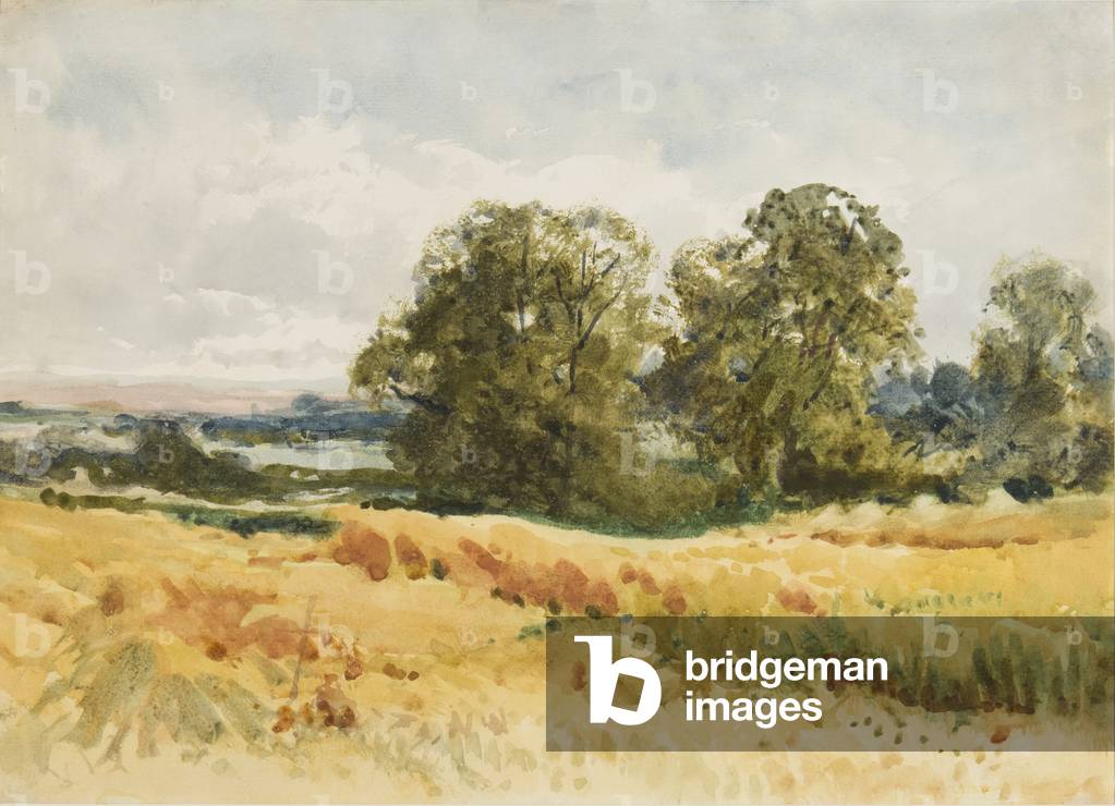 Harvest field, c.1910 (w/c on paper)