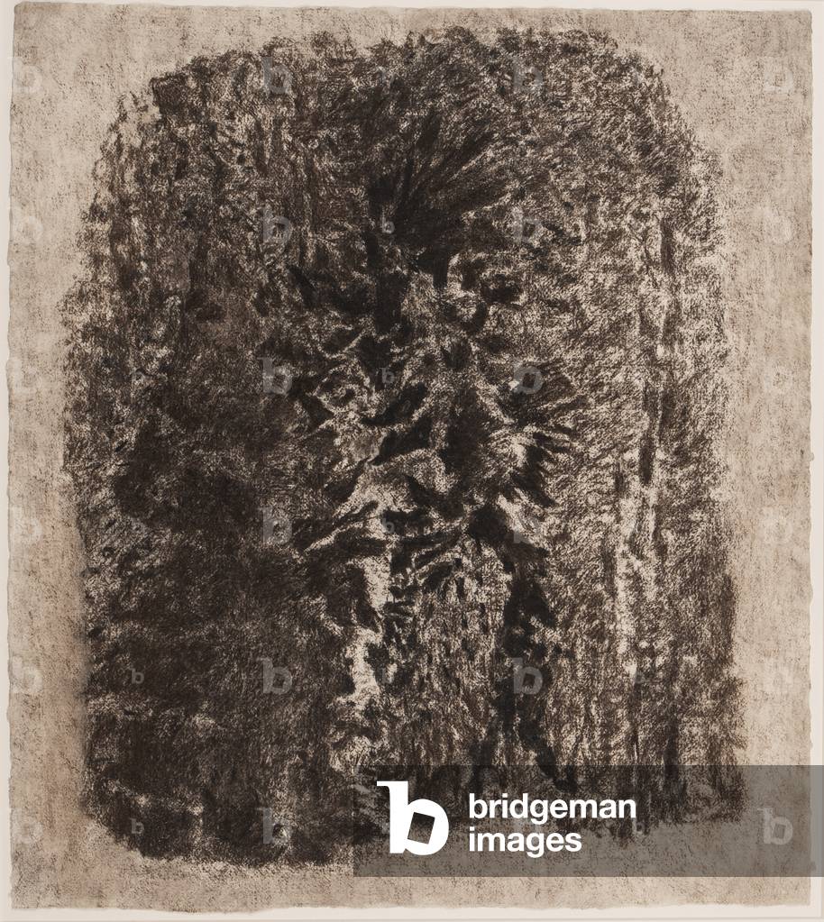 Birds and Bush, 1975 (charcoal on paper)