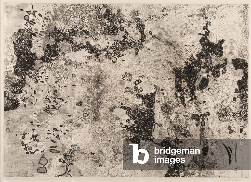 Mississippi, or Rocky Pool, 1966 (etching)