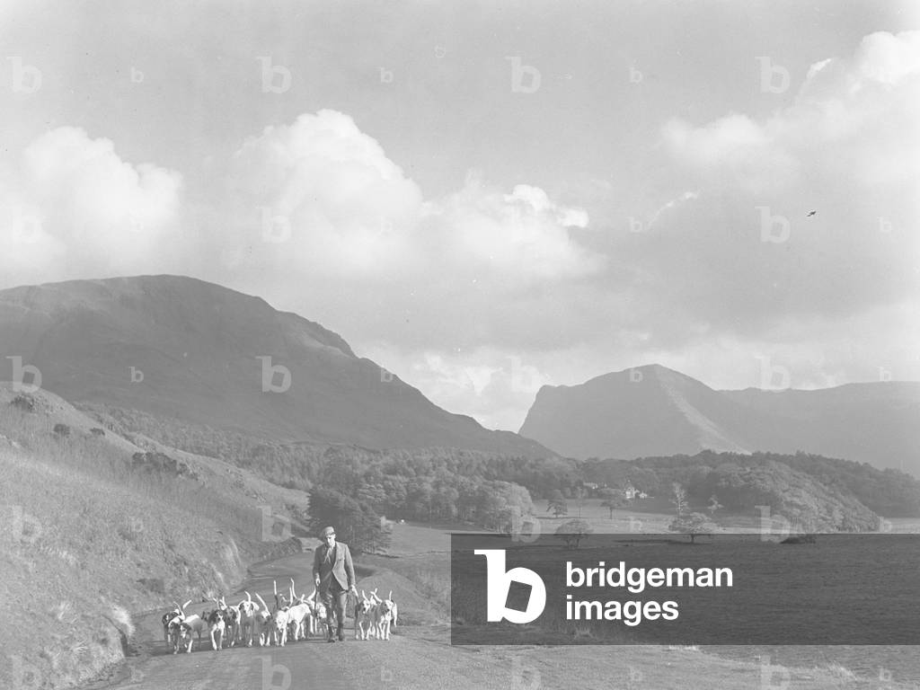 A man walks along a road with hounds at his feet, lake to the right and fells in background, 1930s-60s (b/w photo)