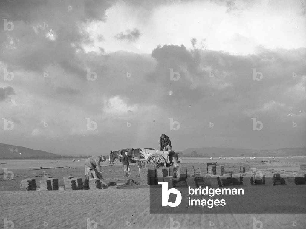Men with a horse and cart cutting squares of turf or peat and putting it into piles, 1930s-60s (b/w photo)