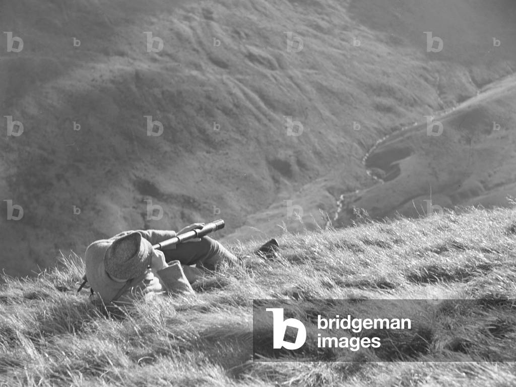 Deer stalker lying in grass and looking through telescope from elevated position, 1930s-60s (b/w photo)