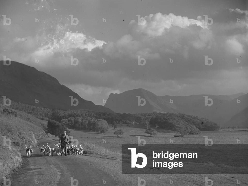 A man walks along a road with hounds at his feet, lake to the right and fells in background, 1930s-60s (b/w photo)