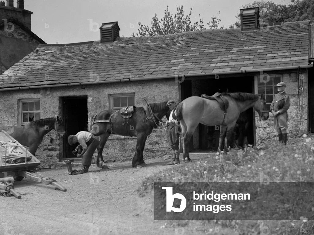 Farrier working on a horse, 1930s-60s (b/w photo)
