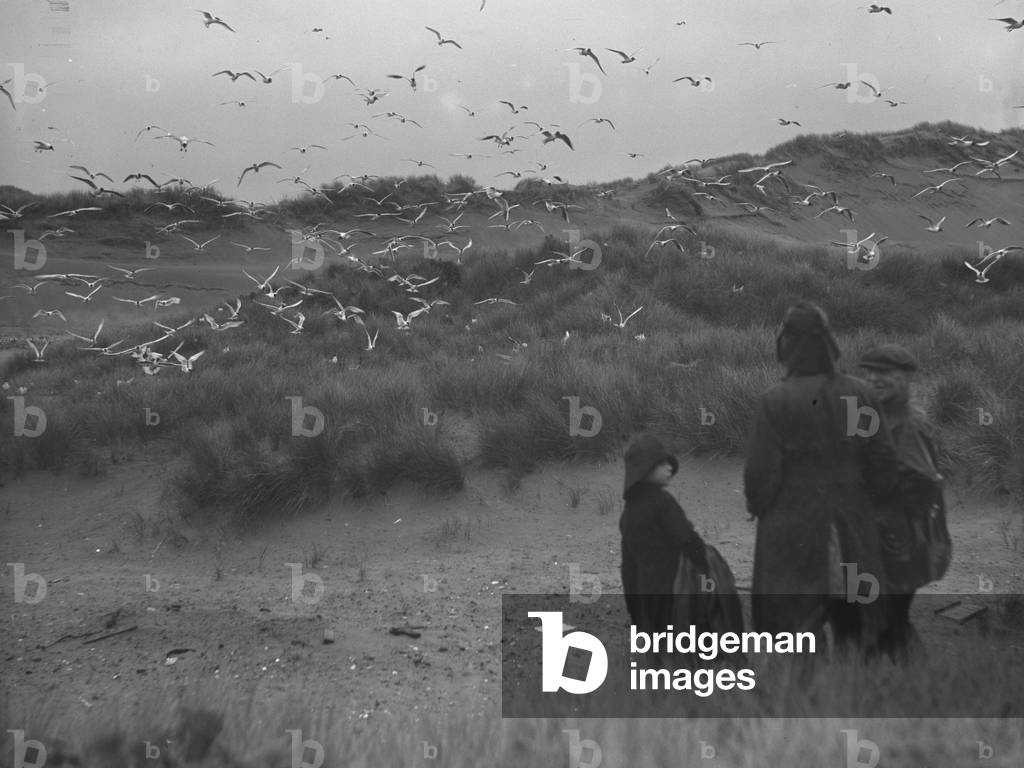 A group of people stand watching gulls flying and in sand dunes, 1930s-60s (b/w photo)