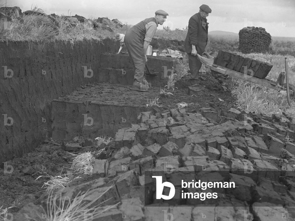 Peat cutters cutting and barrowing peat, 1930s-60s (b/w photo)