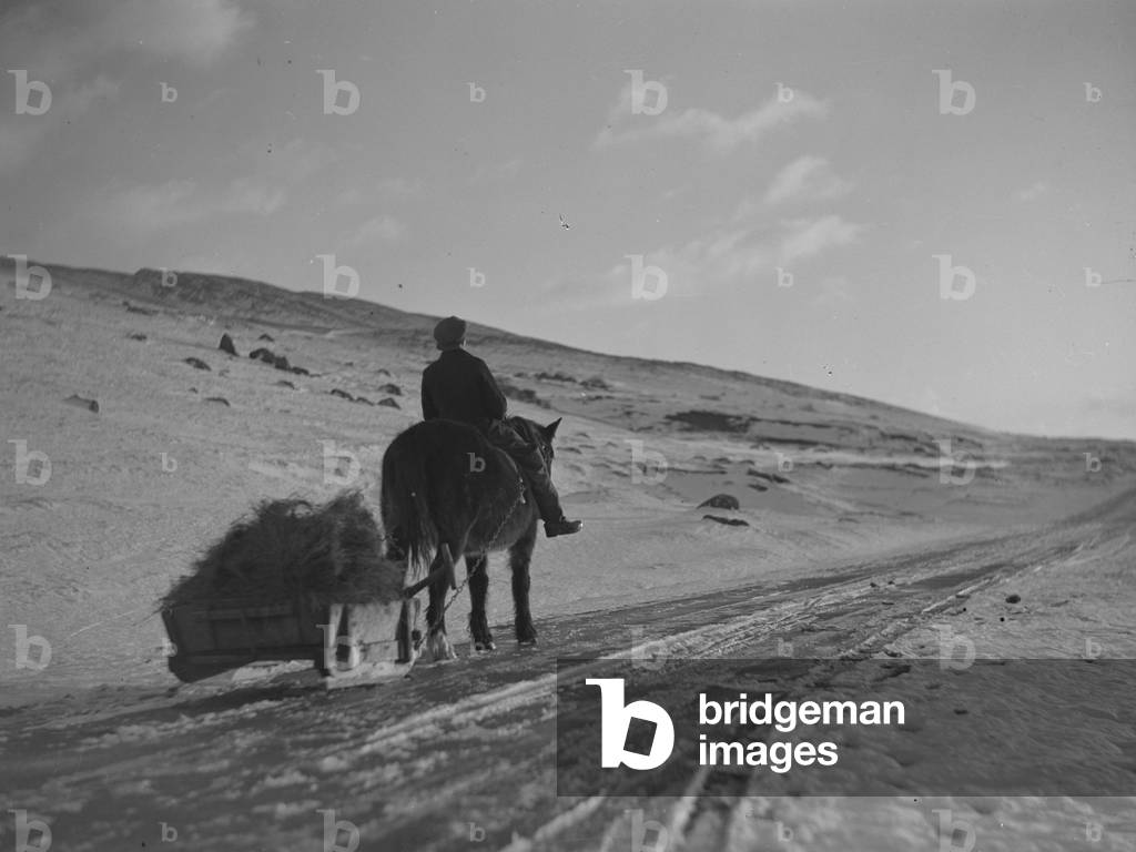 A man rides on a pony pulling a sledge of hay for cattle in a heavy covering of snow, 1930s-60s (b/w photo)