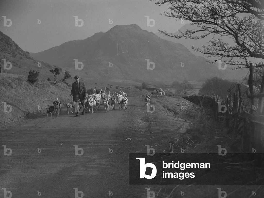 A man walks along a road with hounds at his feet and fells in the background, 1930s-60s (b/w photo)