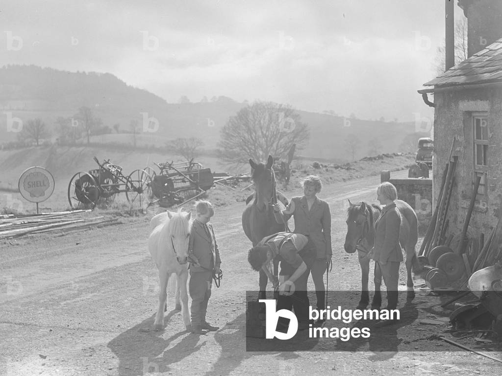 Shoeing horse at Crosthwaite smithy with farm machinary and shell oil sign in background, 1930s-60s (b/w photo)