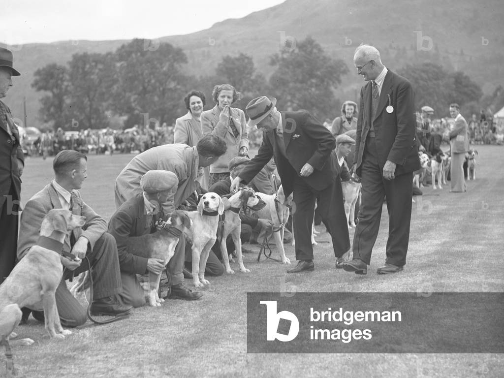 A view of hounds and their owners in a line, whilst two gentlemen inspect the dogs, 1930s-60s (b/w photo)