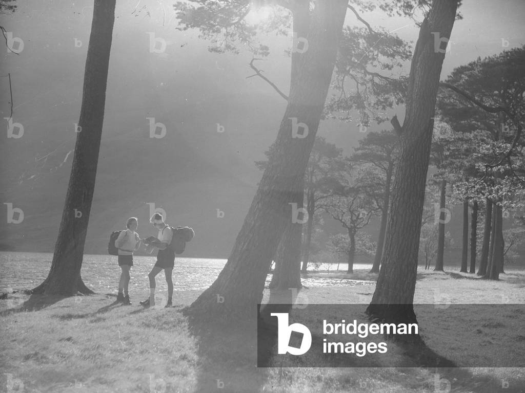 Young walkers studying map in thicket of trees at Buttermere, 1930s-60s (b/w photo)