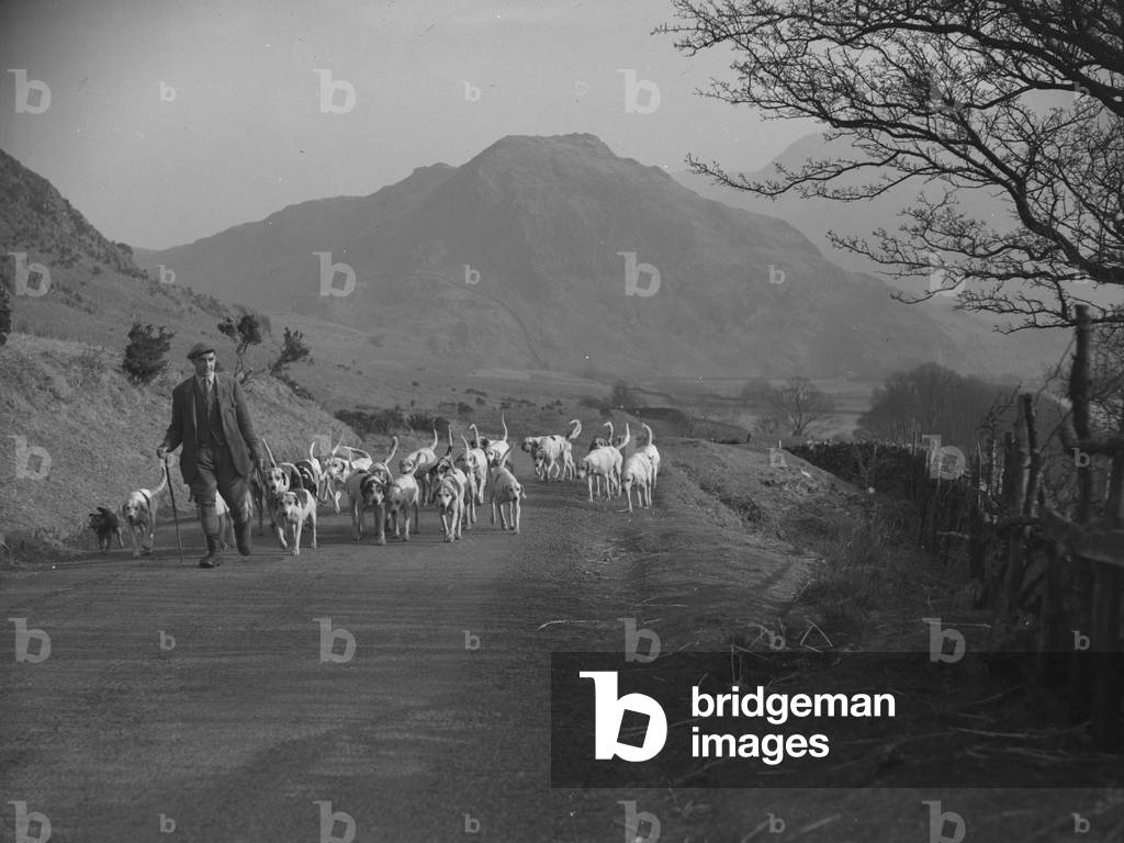 A man walks along a road with hounds at his feet and fells in the background, 1930s-60s (b/w photo)