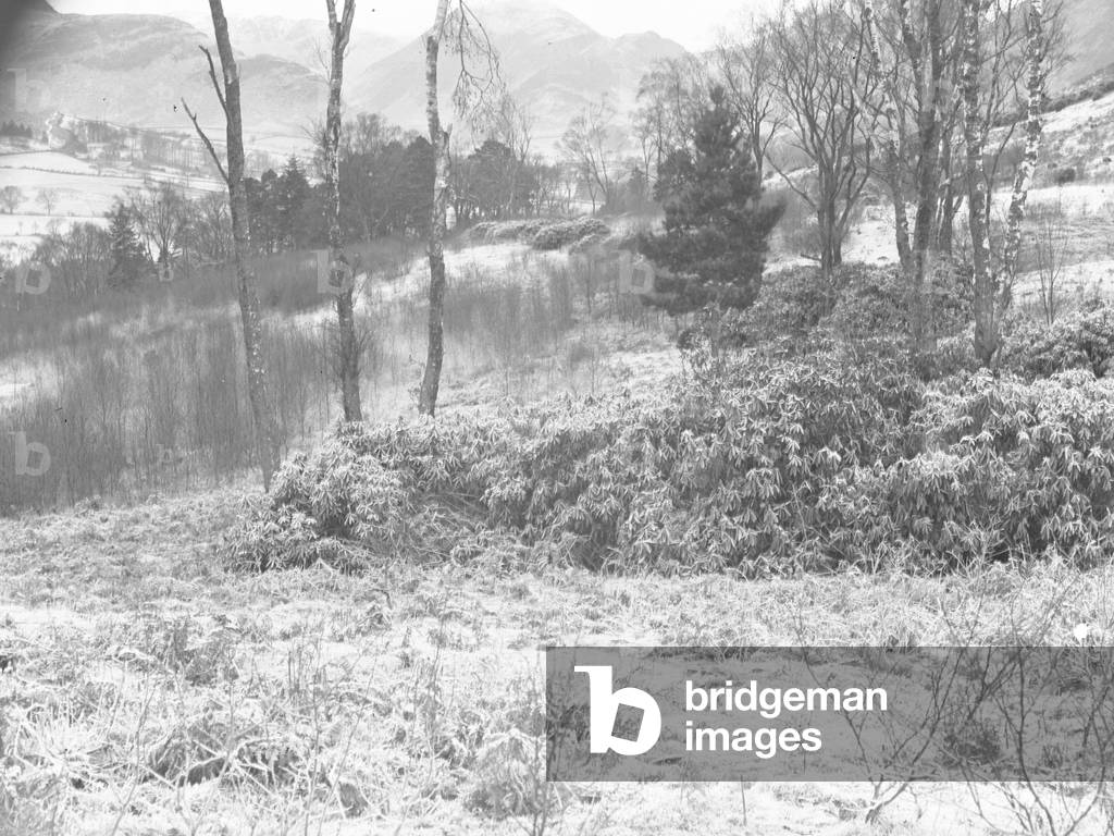 A snowy landscape scene, 1930s-60s (b/w photo)
