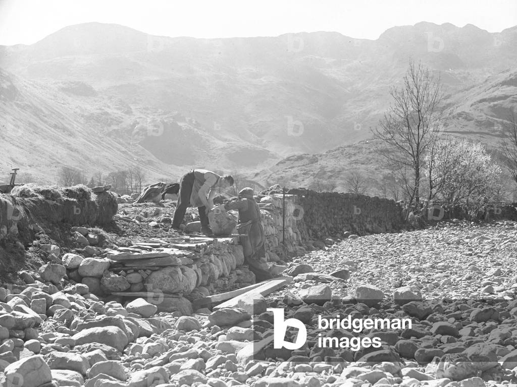 Wallers working on footings of dry stone wall, 1930s-60s (b/w photo)
