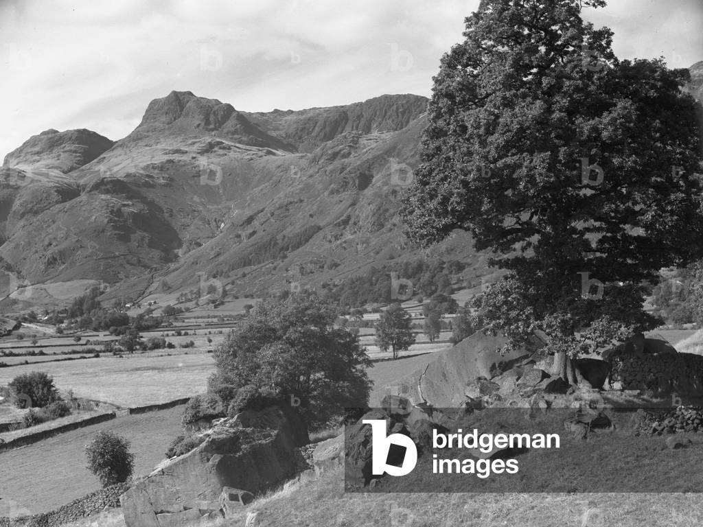 Rocks and tree in foreground with view across to Langdales beyond, 1930s-60s (b/w photo)