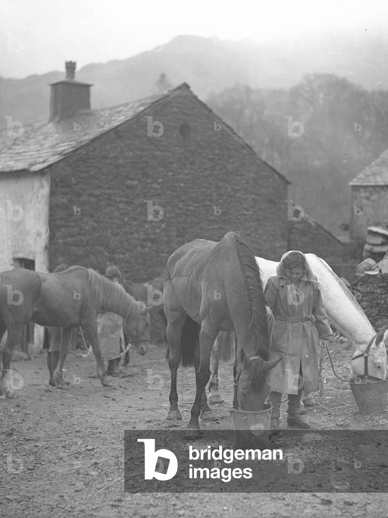 A view of a group of horses having a drink from buckets in a yard, accompanied by women, buldings in the background, 1930s-60s (b/w photo)