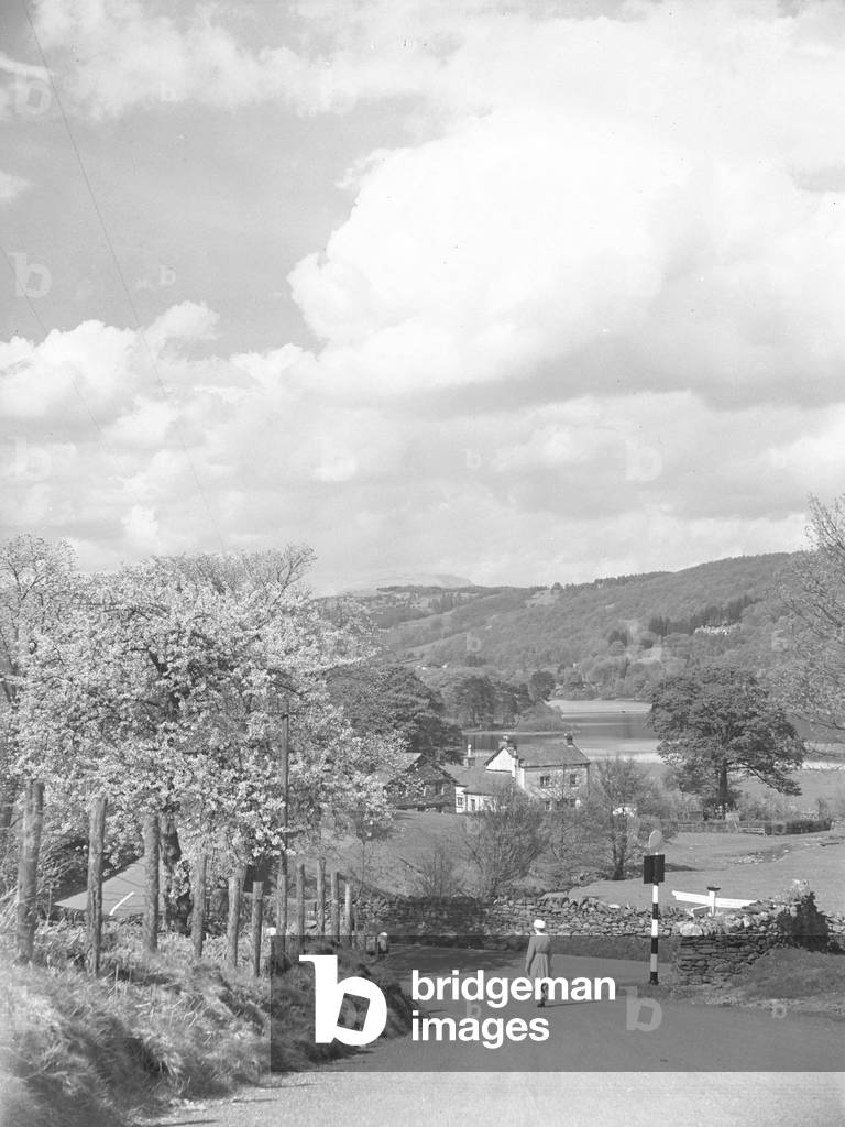 View down road with woman walking away from camera, 1930s-60s (b/w photo)