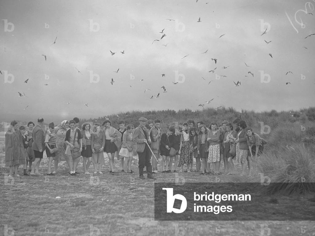 Birdwatching group with birds in flight behind, 1930s-60s (b/w photo)