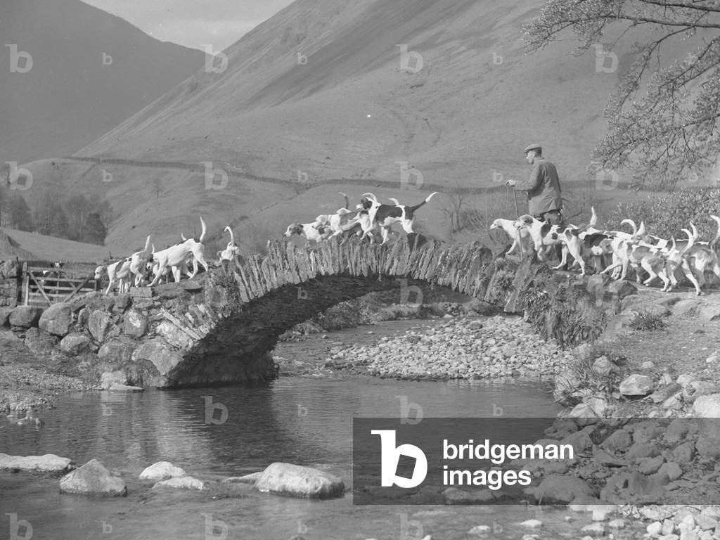 Huntsmen and hounds crossing packhorse bridge from right to left of image, 1930s-60s (b/w photo)