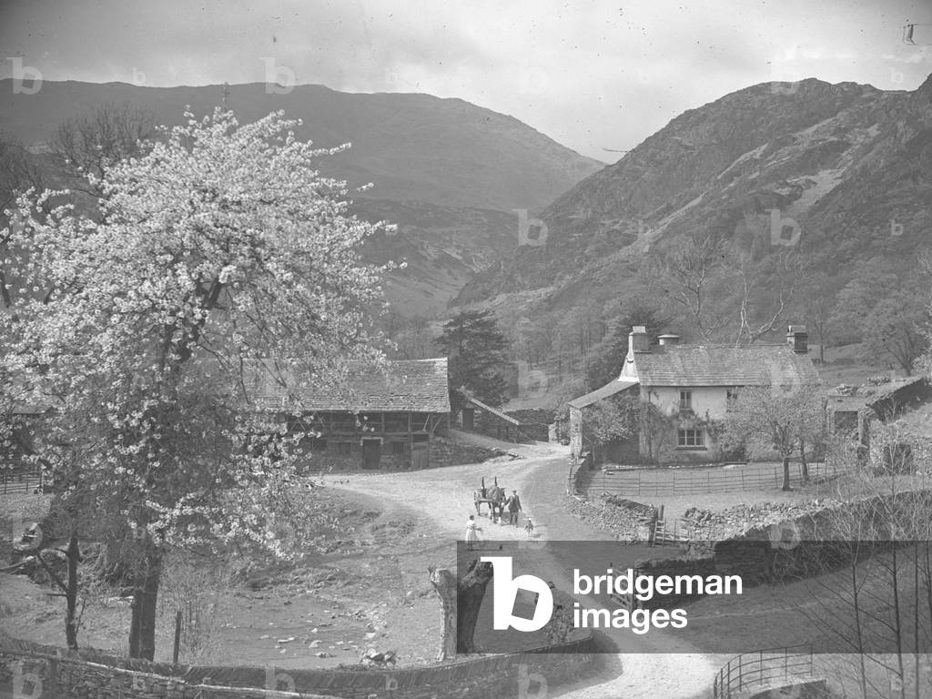 View of farmhouse and surroundings with horse and cart being led by farmer with dog, 1930s-60s (b/w photo)