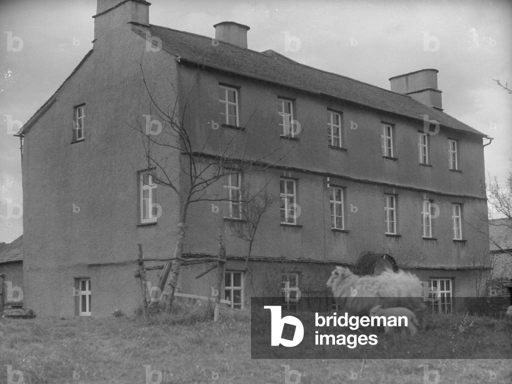 Sheep and lamb in front of Cowmire Hall, 1930s-60s (b/w photo)