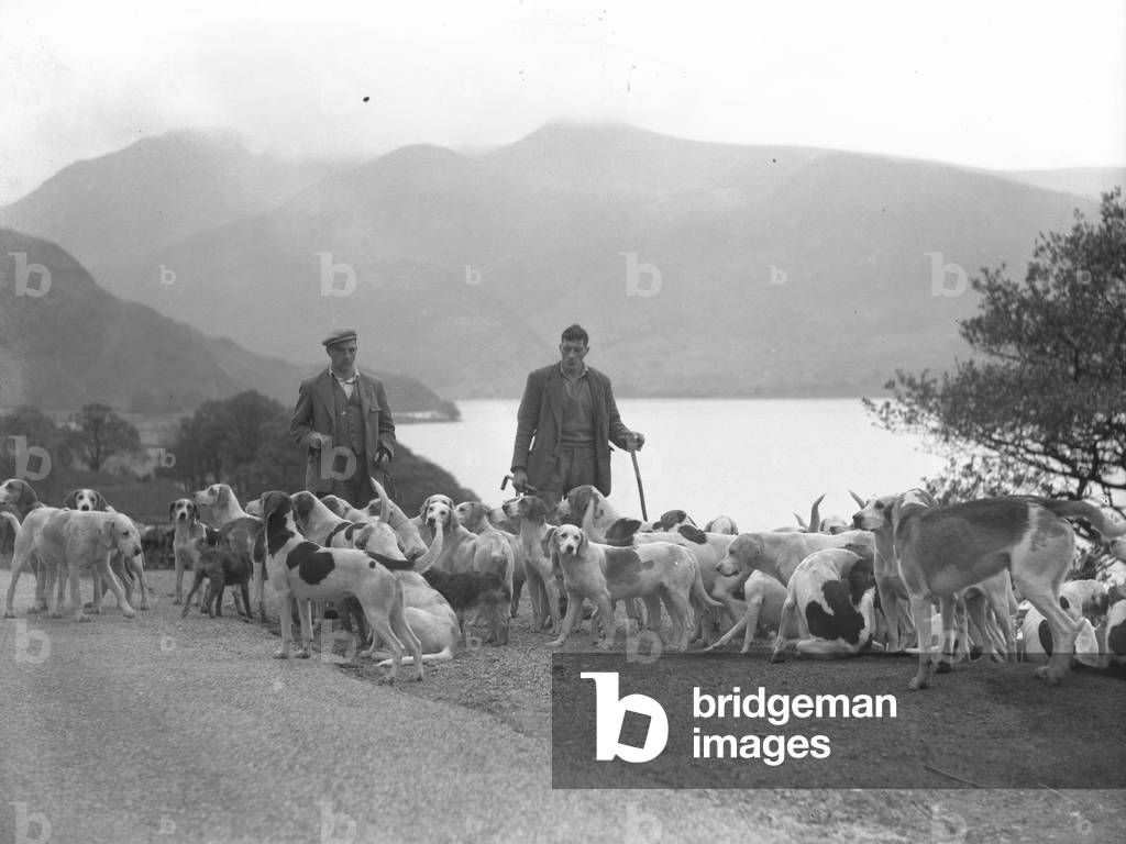Two men stand surrounded at their feet by hounds, lake in the background, 1930s-60s (b/w photo)