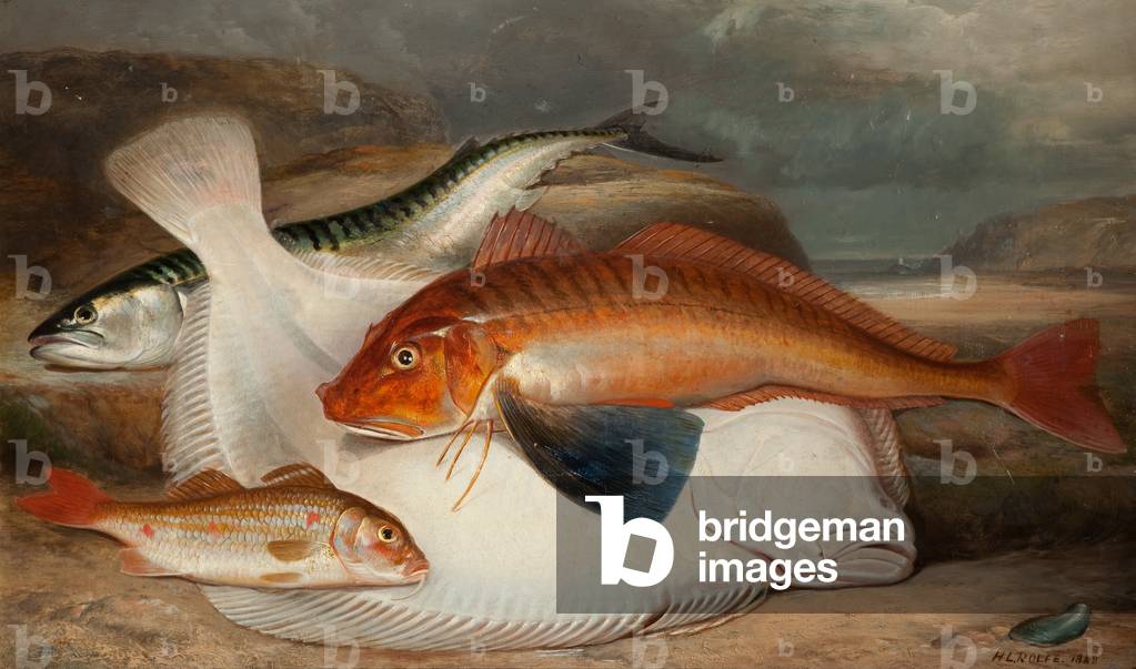 The Catch (oil on canvas)