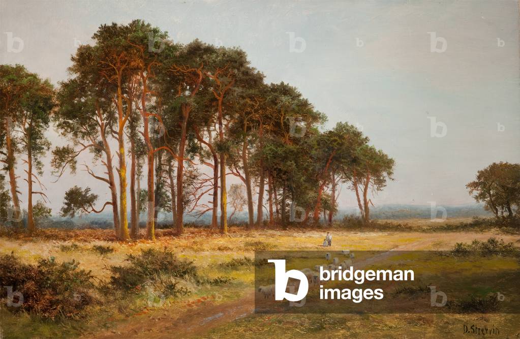 Evening at Bletchworth (oil on canvas)
