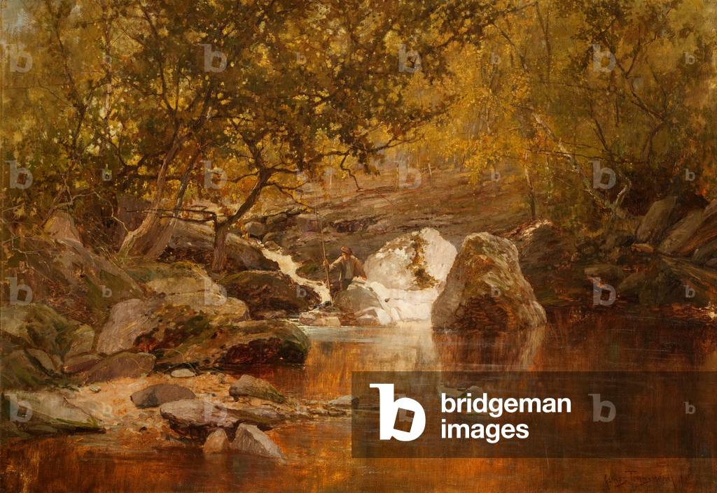 A Salmon Pool (oil on canvas)