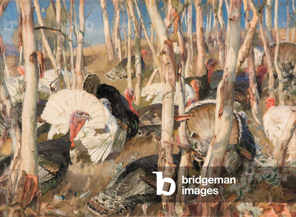 Bronzewings and Saplings, 1921 (w/c on paper)