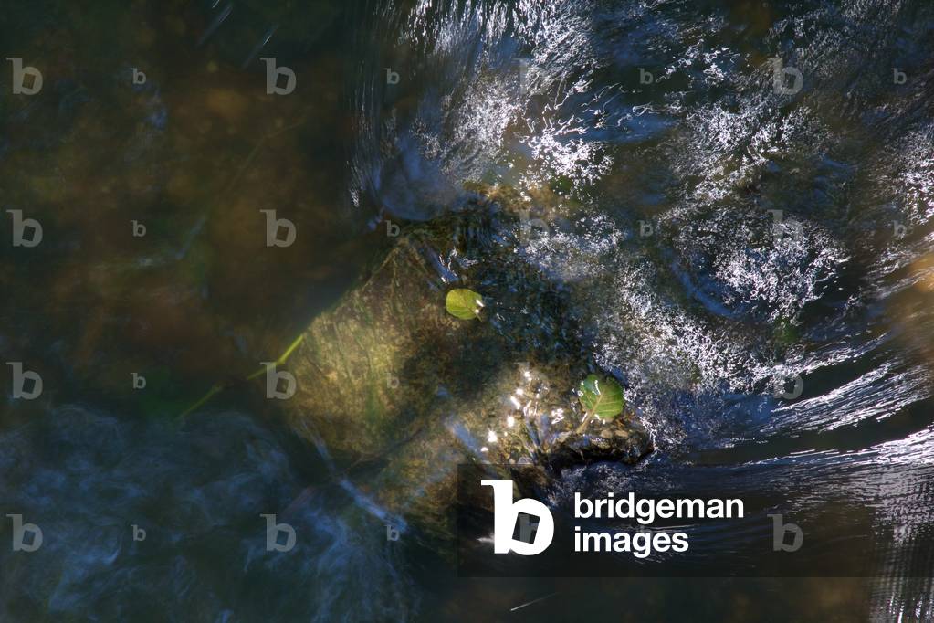 Rushing Waters #6, 2015 (photography)