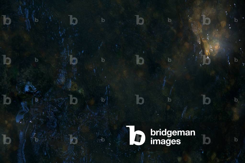 Rushing Waters #4, 2015 (photography)