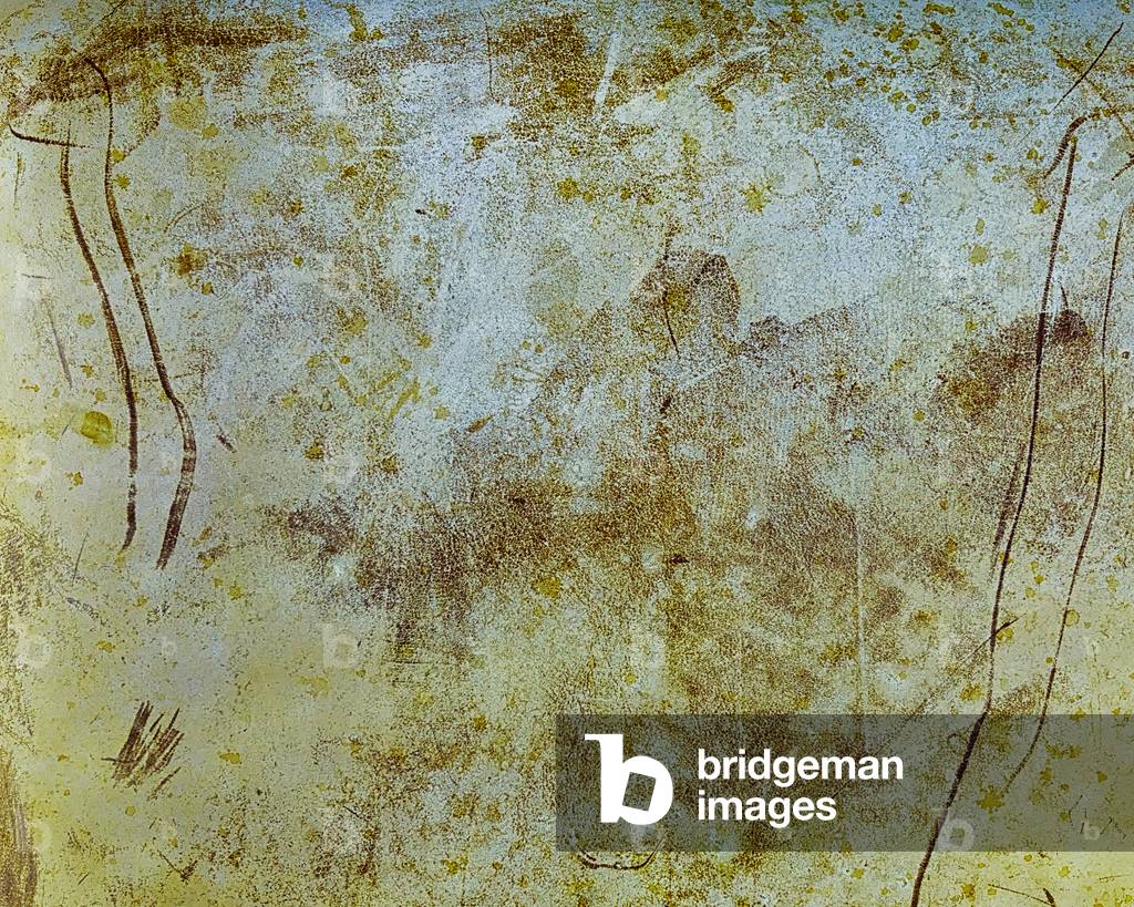 Other Worlds No 1 - Patterns in Seat Leather, 2018 (digital photograph)