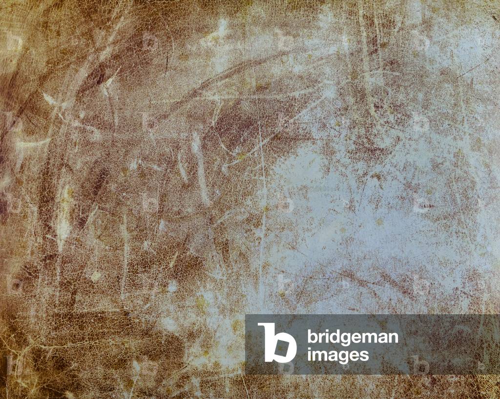 Other Worlds No 2 - Patterns in Seat Leather, 2018 (digital photograph)