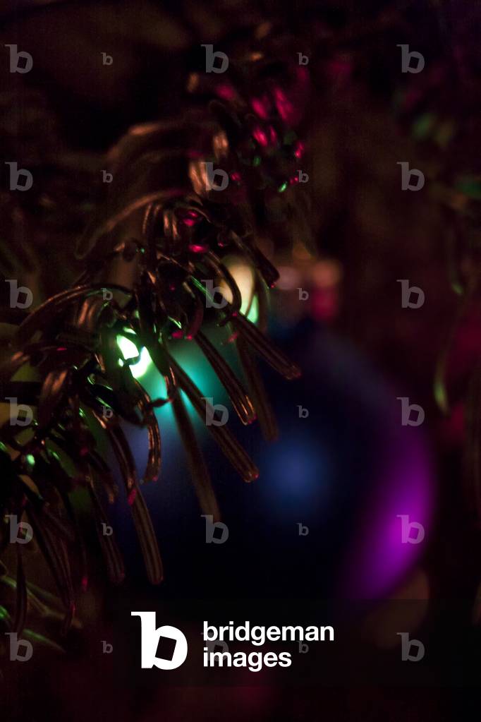 Hidden (photograph)