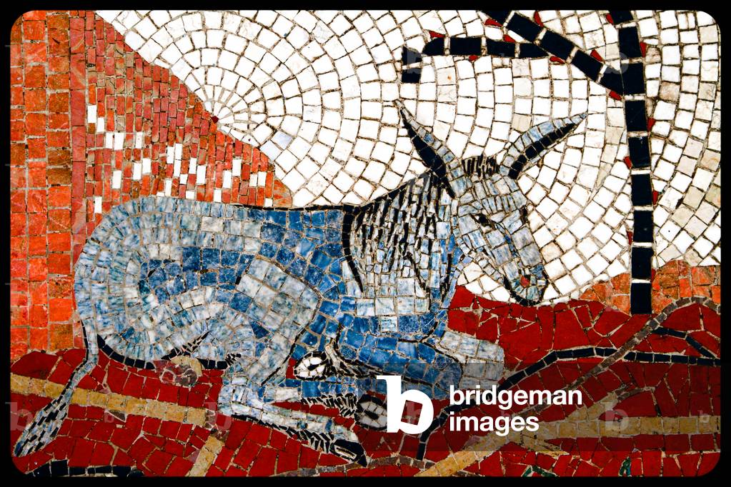 (7) from the series, Twelve Tribes of Israel, 2017 (photograph)