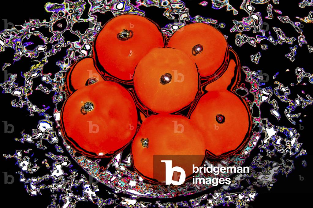 Candy for the Holidays, 2014 (photograph)