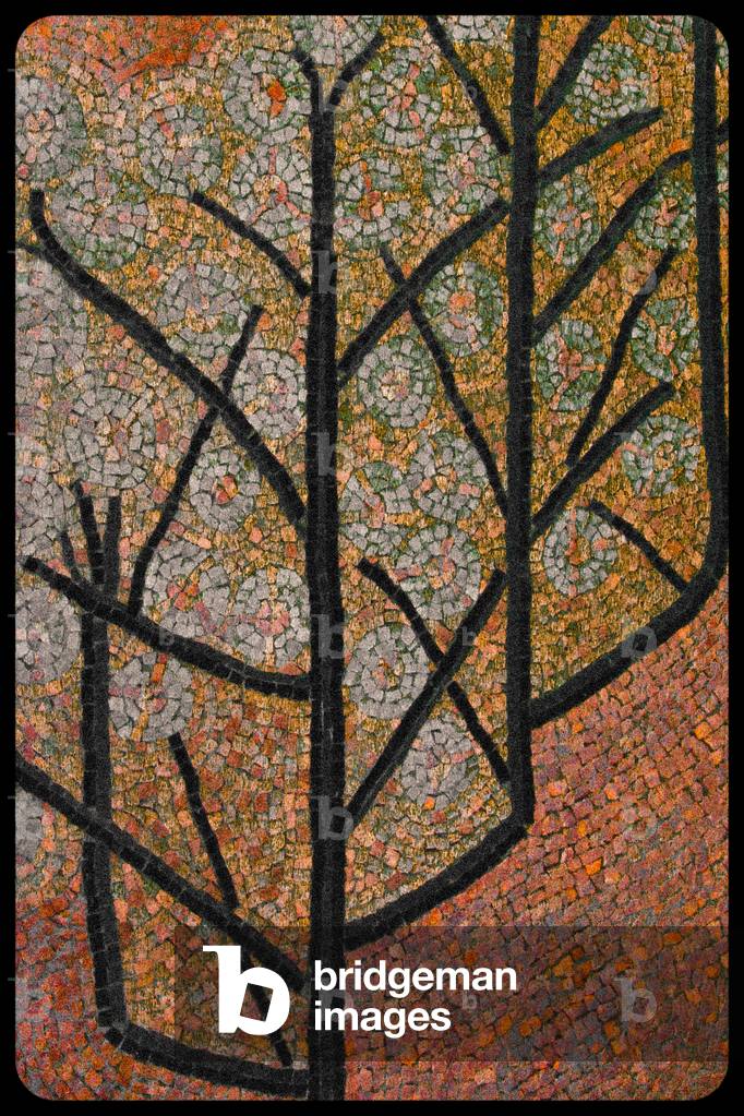 Joseph, from the series, Twelve Tribes of Israel, 2017 (photograph)