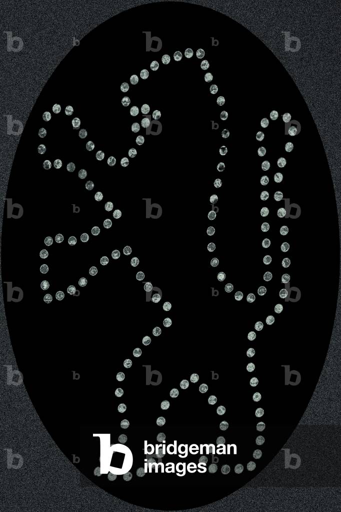 Lion of Judah, 2016 (photograph)