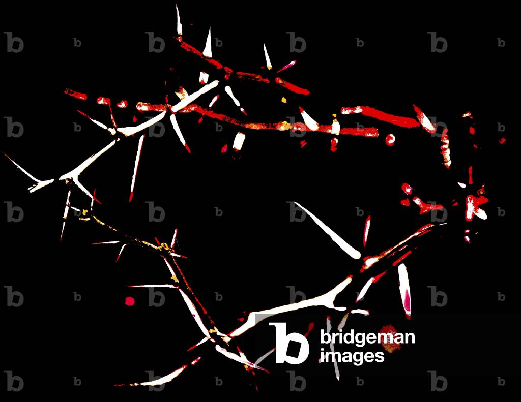 Crown of Thorns, 2015 (repainted photograph)