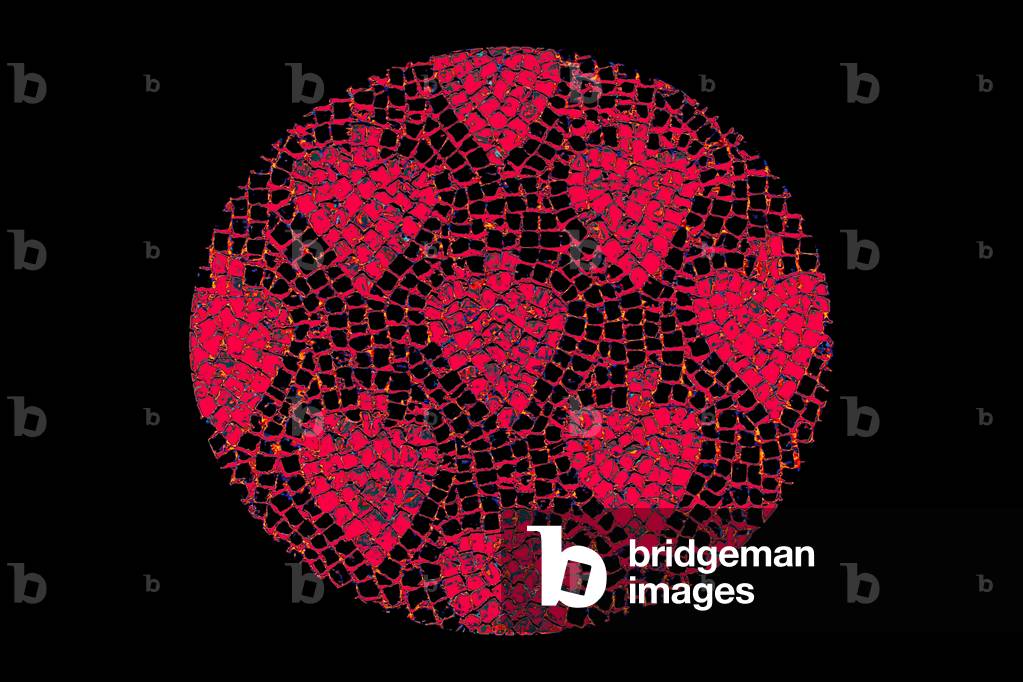 Red Pomegranates, 2015 (repainted photograph)