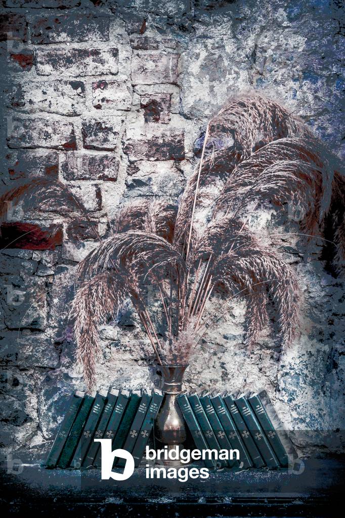 The Book of Common Prayer (v), from the series St. Mary's Cathedral, 2017 (photograph)